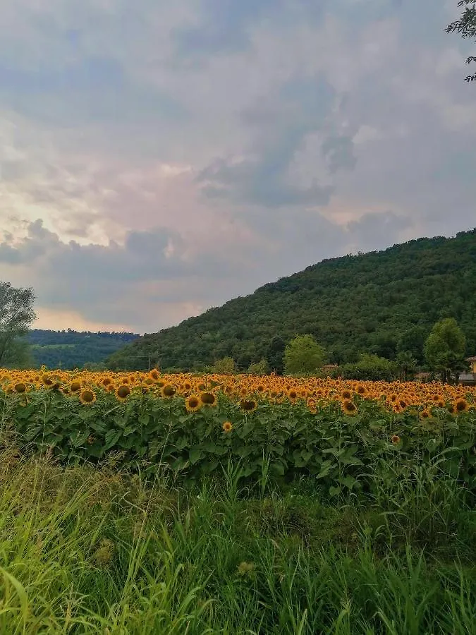 Ca' Dei Berici - Residence Ad Arcugnano Grancare